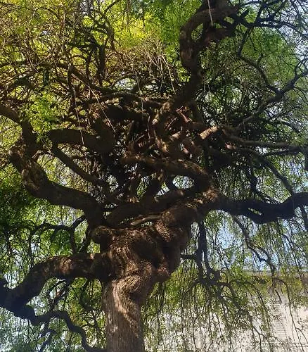 Apartamento Casa Vacanze Serena