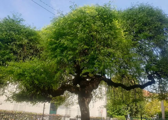 Casa Vacanze Serena * Como